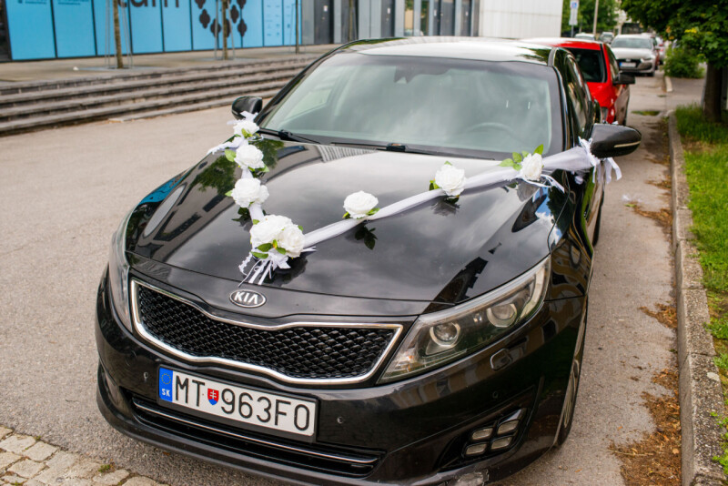 SFAL_031