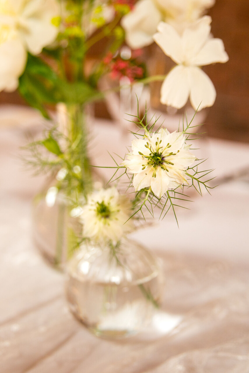 SFAL_217