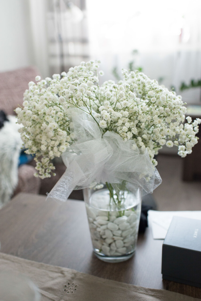 SFMJ_049